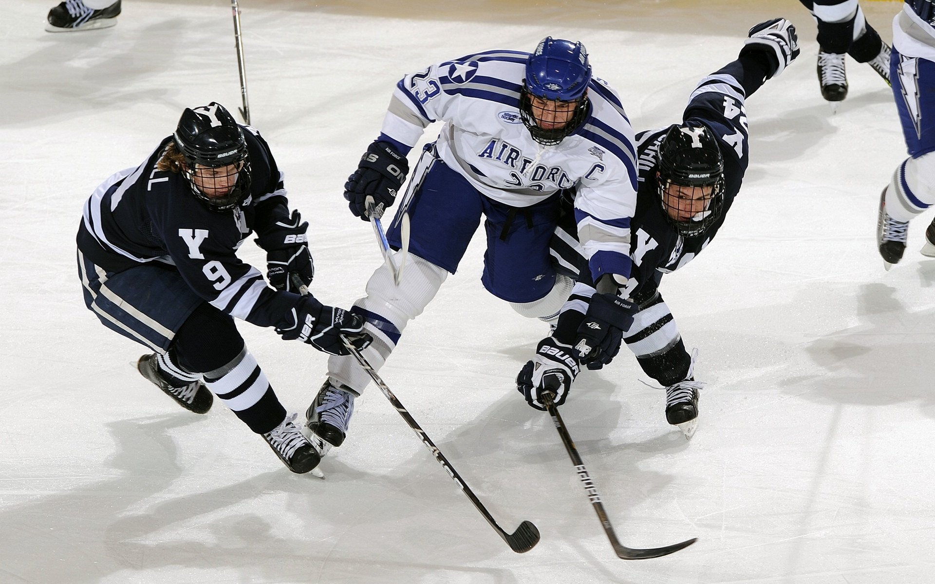 公牛队拼劲十足,期待季后赛突破,公牛队最新队员名单